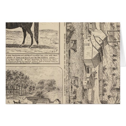 Brookside Dairy Farm Cards (Front Horizontal)