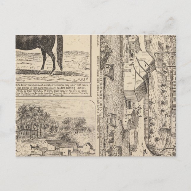 Brookside Dairy Farm Postcard (Front)