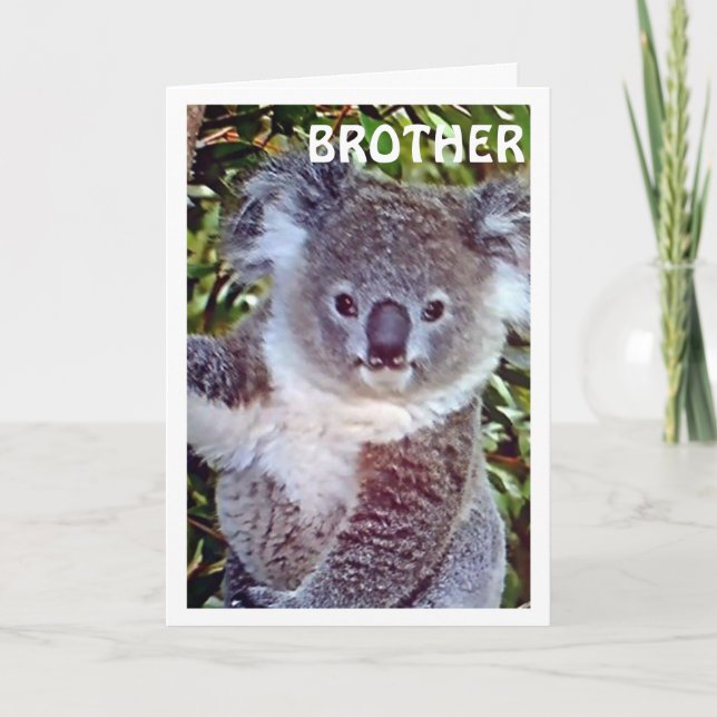 BROTHE THIS "KOALA BIRTHDAY CARD IS JUST FOR YOU (Front)