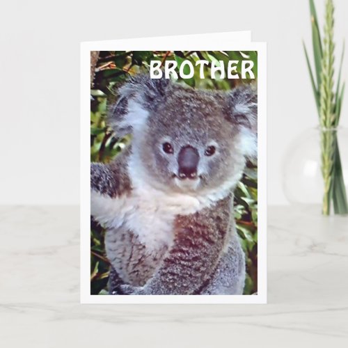 BROTHE THIS KOALA BIRTHDAY CARD IS JUST FOR YOU