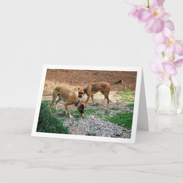 Brother and Sister, Dog Portrait Card (Orchid)