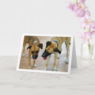 Brother and Sister, Dog Portrait Card