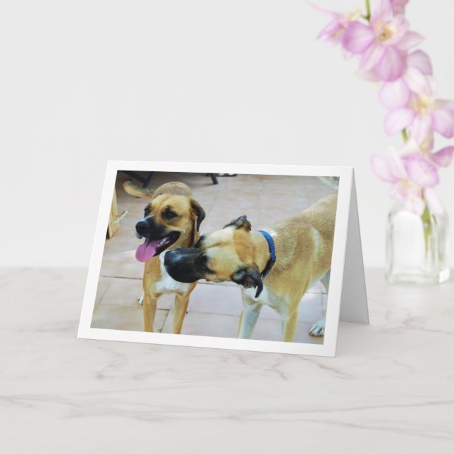 Brother and Sister, Dog Portrait Card (Orchid)