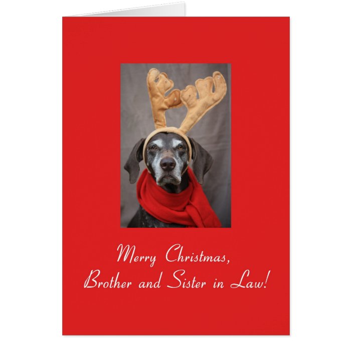 Brother and Sister in Law reindeer pointer merry x Card