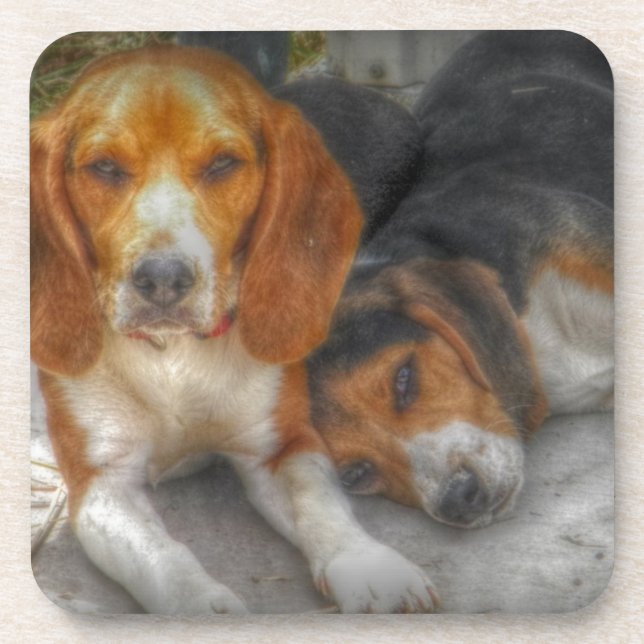 Brother Beagles Drink Coaster (Front)