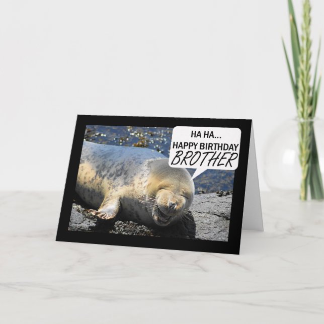 Brother Birthday card with laughing seal pup (Front)