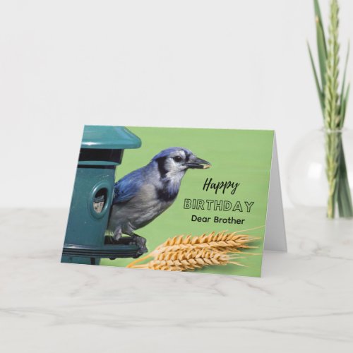 Brother Birthday with Blue Jay at Feeder Wheat Card