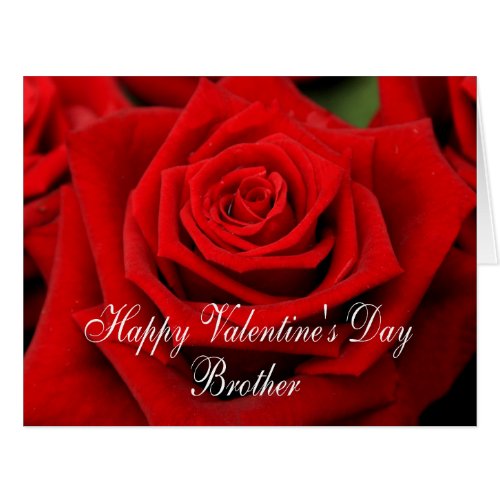 Brother Happy Valentines Day Roses