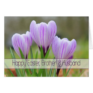Brother & Husband Happy Easter Purple crocuses Cards