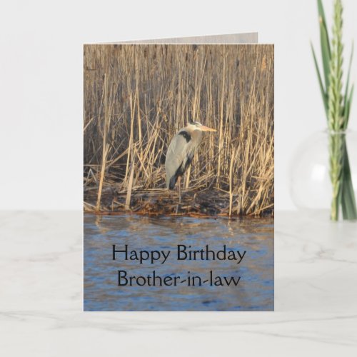 Brother_in_law Birthday Card