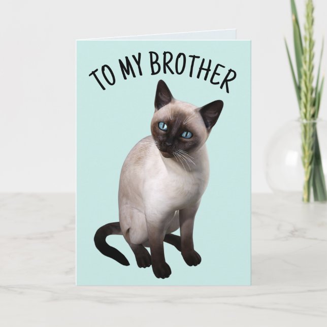 BROTHER SIAMESE CAT BIRTHDAY Greeting Card (Front)