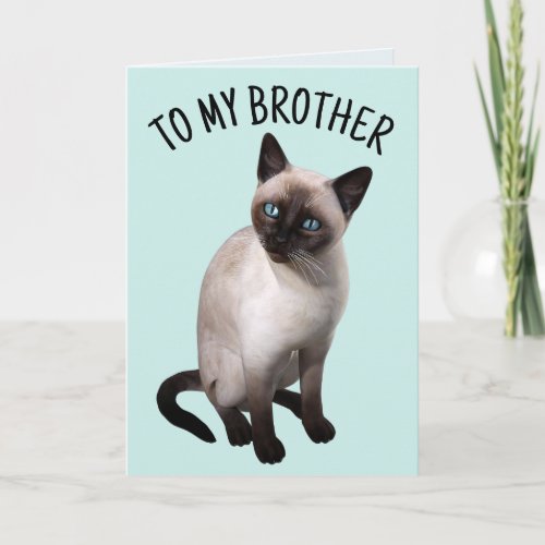BROTHER SIAMESE CAT BIRTHDAY Greeting Card