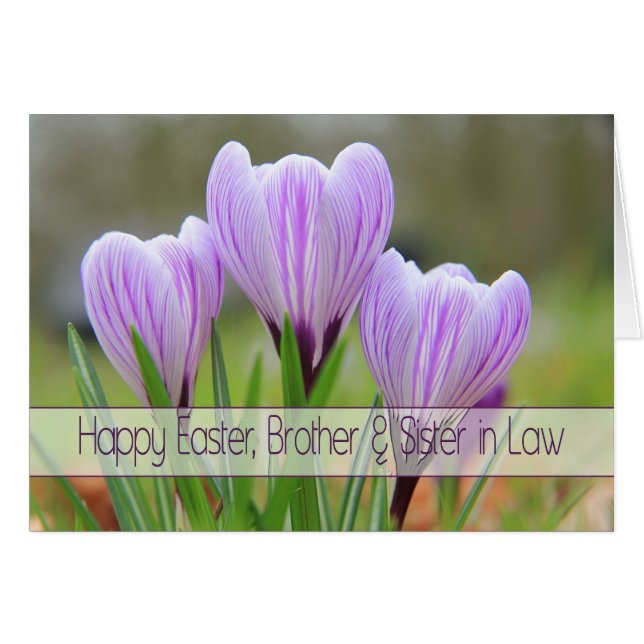 Brother & Wife  Happy Easter Purple crocuses (Front Horizontal)