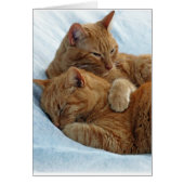 Brotherly Love (Front)