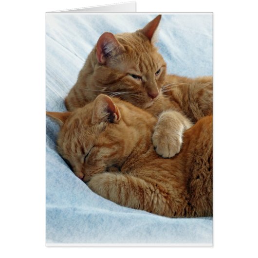 Brotherly Love Cards (Front)