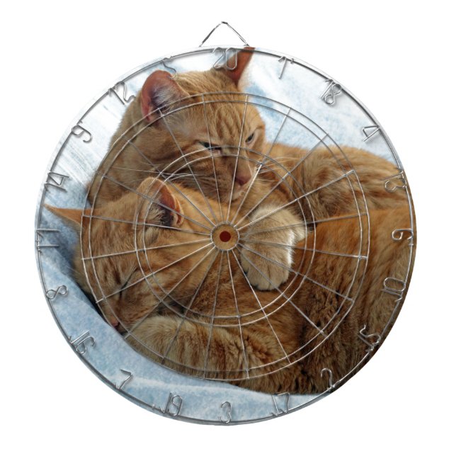 Brotherly Love Dartboard With Darts (Front)