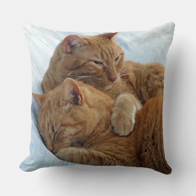 Brotherly Love Pillow (Front)