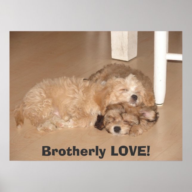 Brotherly LOVE! Poster (Front)