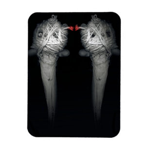 Brothers 2013 magnet