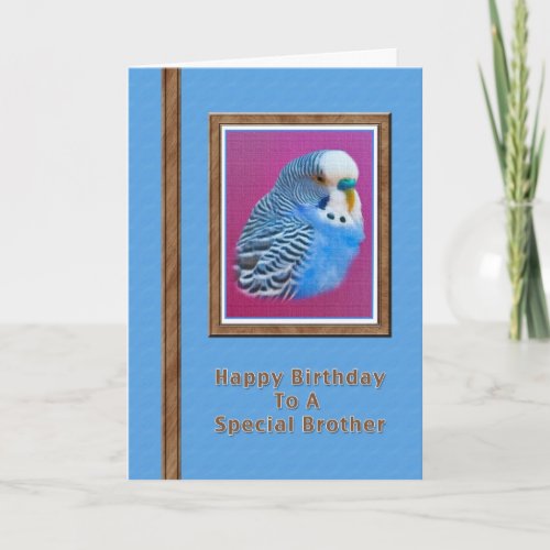 Brothers Birthday Card with Blue Parakeet