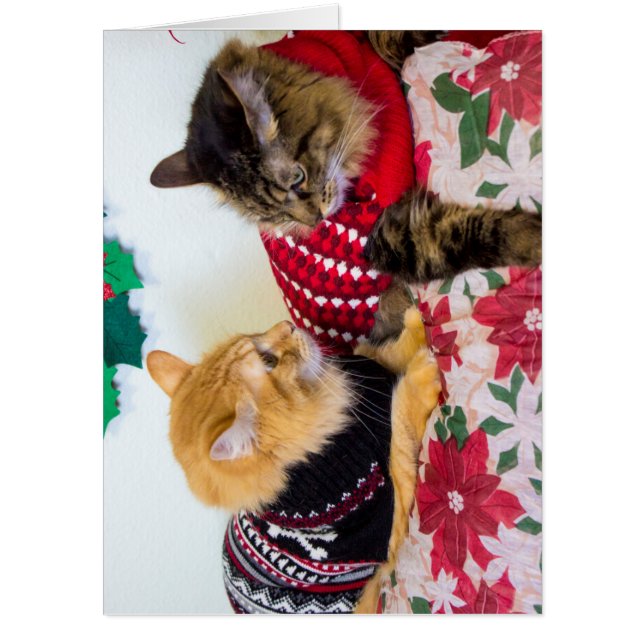 Brothers Card (Front)