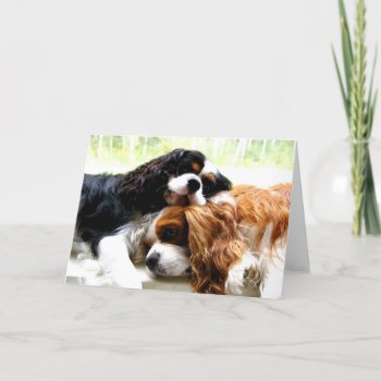 Brothers Cavaliers Card by leanajalukse at Zazzle