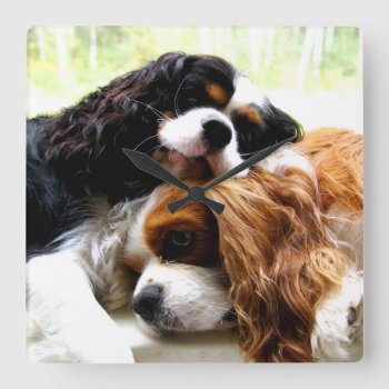 Brothers Cavaliers Clock by leanajalukse at Zazzle