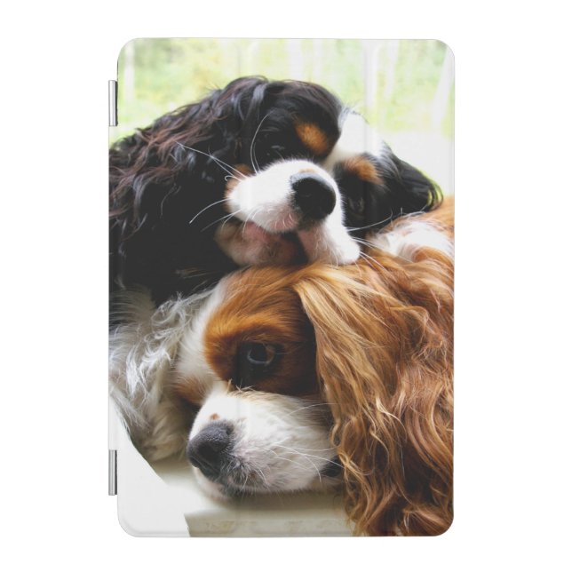 Brothers Cavaliers iPad mini Cover (Front)
