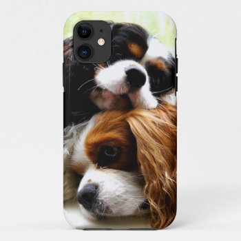 Brothers Cavaliers Iphone 5/5s Case by leanajalukse at Zazzle