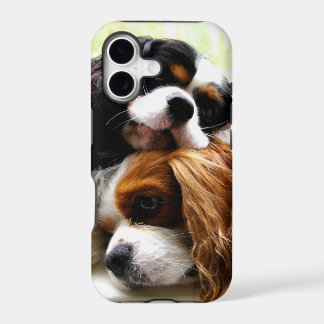 Brothers Cavaliers iPhone 5/5S Case