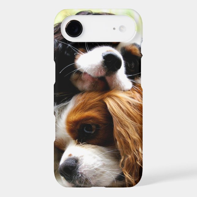 Brothers Cavaliers iPhone 6 Case (Back)