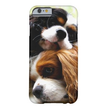 Brothers Cavaliers Iphone 6 Case by leanajalukse at Zazzle