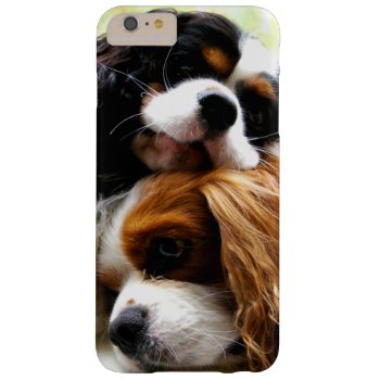 Brothers Cavaliers Iphone 6 Plus Case by leanajalukse at Zazzle