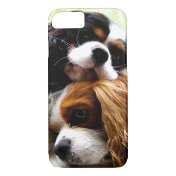 Brothers Cavaliers Iphone 7 Case by leanajalukse at Zazzle