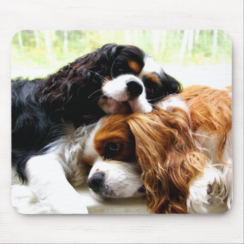 Brothers Cavaliers Mouse Pad