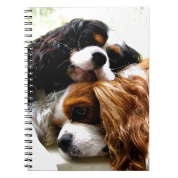 Brothers Cavaliers Notebook by leanajalukse at Zazzle