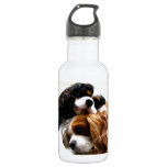Brothers Cavaliers Stainless Steel Water Bottle at Zazzle