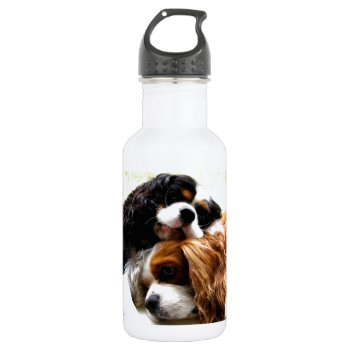 Brothers Cavaliers Stainless Steel Water Bottle by leanajalukse at Zazzle