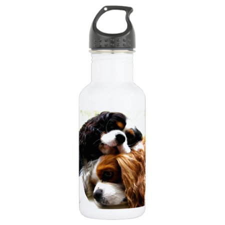 Brothers Cavaliers Stainless Steel Water Bottle