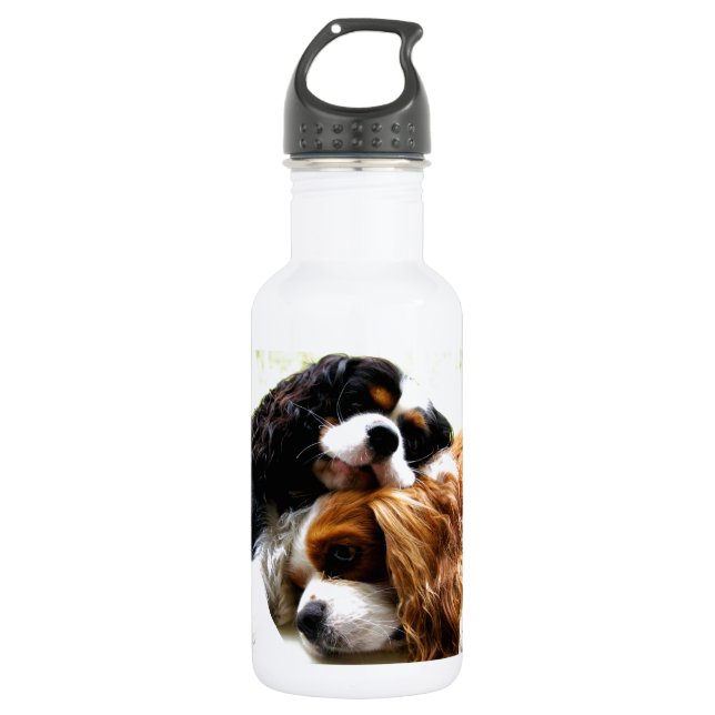 Brothers Cavaliers Stainless Steel Water Bottle (Front)