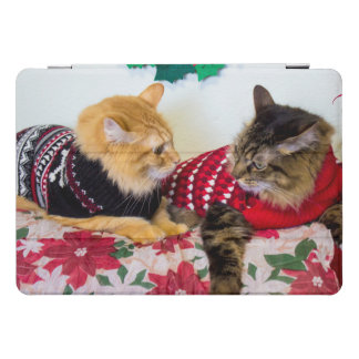 Brothers iPad Pro Cover