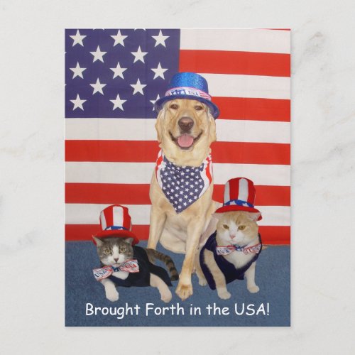 Brought Forth in the USA Postcard