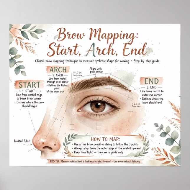 Brow Mapping Poster (Front)
