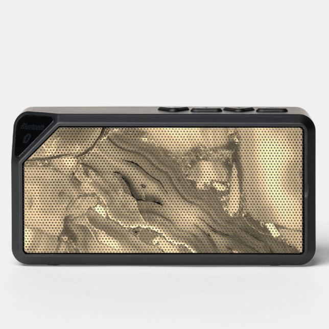 Brown Agate Bluetooth Speaker (Front)