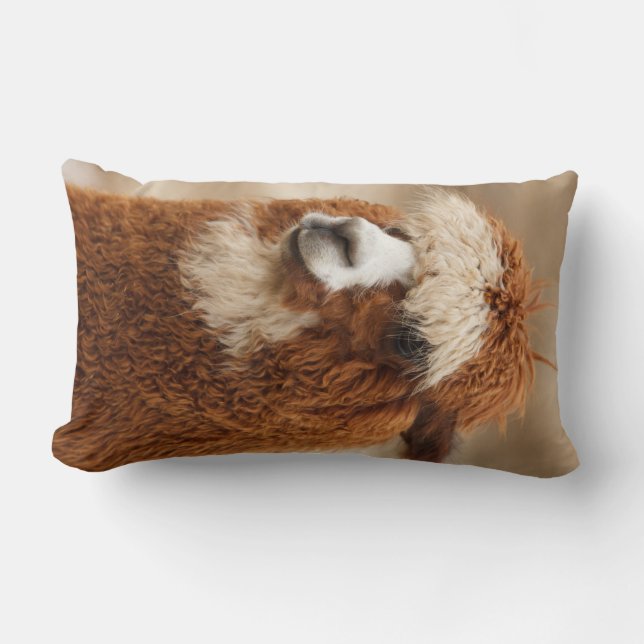 Brown Alpaca custom throw pillow (Front)