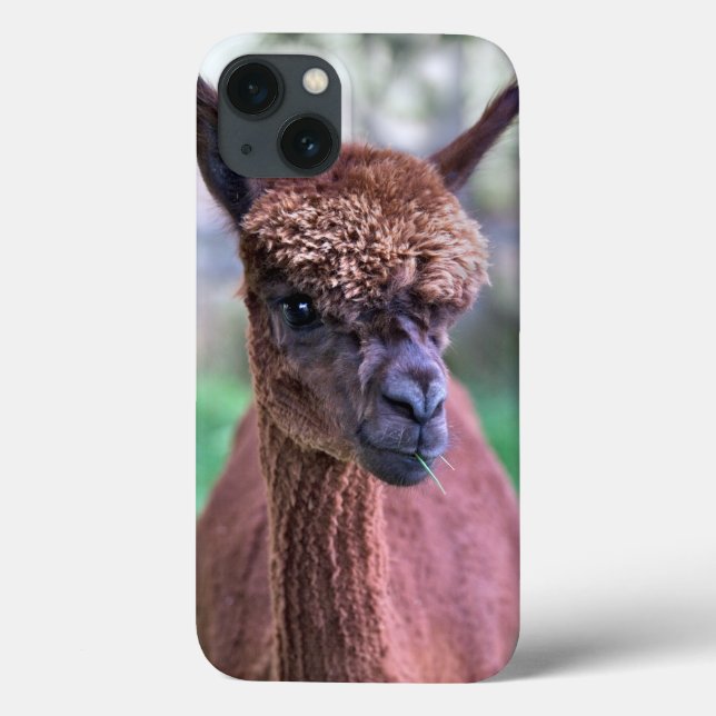 Brown Alpaca iPad Mini Case (Back)