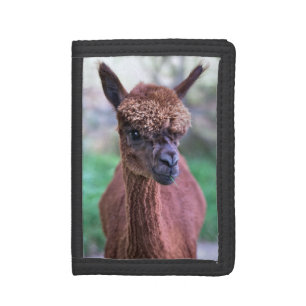 Brown Alpaca Wallet