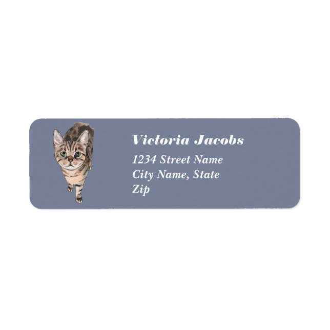 Brown American Shorthair Kitty Label (Front)