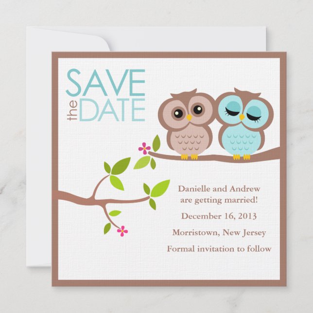Brown and Aqua Owls Wedding Save the Date Invitation (Front)