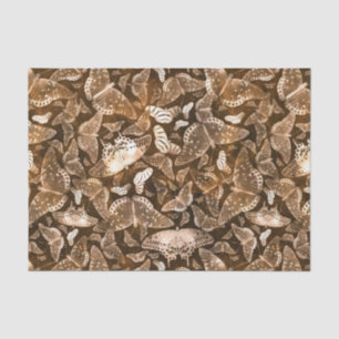 Brown and Beige Butterflies Pattern Tissue Paper